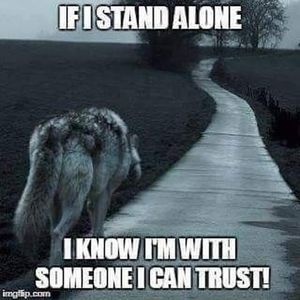 Meet your Posher, Maggie